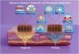 Graphical abstract: MXenes in diabetes: diagnostic and therapeutic applications