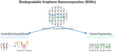 Graphical abstract: Biodegradable graphene nanocomposites as functional biomaterials: a review of their role in controlled drug delivery and tissue engineering