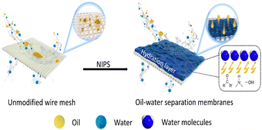 Graphical abstract: Synergistic hydrolysis, coordination and hydrogen bond interactions in NIPS for underwater superoleophobic mesh-based oil/water separation