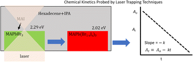 Graphical abstract: In Situ kinetic analysis of perovskite halide exchange via laser trapping spectroscopy