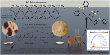 Graphical abstract: Self-assembled isomorphous 2D triangular networks: divergent magnetic relaxation in Co(ii) and Cu(ii)