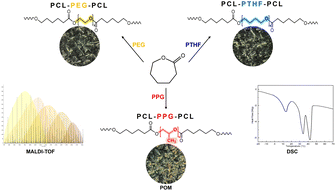 Graphical abstract: ABA triblock copolymers prepared with poly(ε-caprolactone) and PEG, PTHF, and PPG macroinitiators as the central segment: synthesis, characterization, and thermal properties