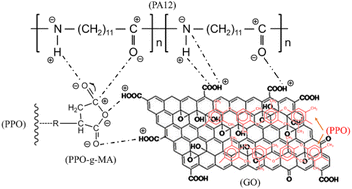 Graphical abstract: Synergistic compatibilization of PA12/PPO blends by PPO-g-MA and graphene oxide: mechanical, thermal, and flame-retardant properties