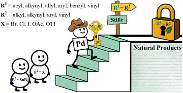 Graphical abstract: Advancing total synthesis through the Stille cross-coupling: recent innovations and case studies