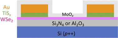 Graphical abstract: ALD-grown semimetallic TiSx for hole injection into monolayer WSe2