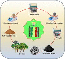 Graphical abstract: Valorizing biomass into ultrahigh-surface-area porous carbon for sustainable next-generation energy storage