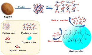 Graphical abstract: Degradation of oxytetracycline in wastewater by catalytic ozonation with eggshell-derived calcium peroxide