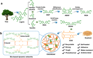Graphical abstract: Fabrication of a strong, tough, recyclable, and multifunctional bio-based epoxy vitrimer via constructing polyarylation-enhanced dynamic networks