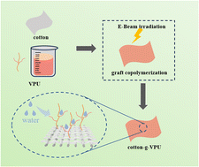 Graphical abstract: Preparation of breathable, fluorine-free cotton fabric with robust hydrophobicity