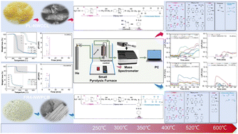 Graphical abstract: Research on the migration and transformation patterns of volatile pyrolysis products of WPCB by an online pyrolysis-mass spectrometry method