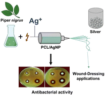 Graphical abstract: Electrospun poly(ε-caprolactone)/silver nanoparticle nanofibrous scaffolds with antibacterial activity for wound-dressing applications
