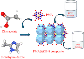 Graphical abstract: Rapid synthesis of phosphomolybdic acid encapsulated ZIF-8 for efficient uranium(vi) capture from alkaline solution