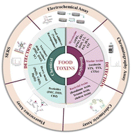 Graphical abstract: Emerging nano sensing technologies for the detection of biological and chemical food toxins