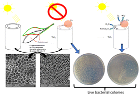 Graphical abstract: Electrodeposition of Cu nanoparticles on TiO2 nanotubes for enhanced bactericidal effect against Escherichia coli