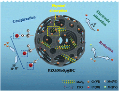 Graphical abstract: The synthesis of PEG/MoS2-modified biochar for the efficient removal of Cr(vi) in solution: performance and mechanism