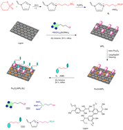 Graphical abstract: Magnetic lignin-supported sulfonic acid ionic liquid: a novel catalyst for synthesis of 2-amino-4-aryl-4H-benzo[f]chromen-3-carbonitrile derivatives