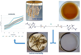 Graphical abstract: Green dual-action potential of newly synthesized sulfonamide-based ionic liquids: larvicidal activity against Culex pipiens and purification of oil-polluted water