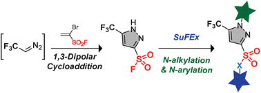 Graphical abstract: Accessing trifluoromethylated SuFEx-able pyrazole via distortion-accelerated 1,3-dipolar cycloadditions