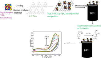 Graphical abstract: Highly sensitive electrochemical detection of hazardous 2,4-dinitrophenylhydrazine using MgCo-TiO2/g-C3N4 heterostructure nanocomposites