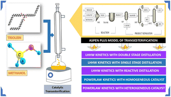 Graphical abstract: Development of an Aspen Plus model for catalytic transesterification with different reactor arrangements and kinetic mechanisms
