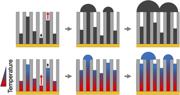 Graphical abstract: Fin effect enables self-controlled growth of nanowires