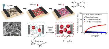 Graphical abstract: Laser-induced graphene as a versatile platform for colloidal quantum dot heterostructure photodetectors