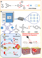 Graphical abstract: Interleaving-twisted nanoarchitectured porous organic polymer synergizes photoactivity enhancement and nanozyme-powered microenvironment remodeling for advanced infected wound therapy