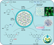 Graphical abstract: Sparse silver loading on chitosan–boron carbon nitride framework: a sustainable route to multifunctional nanomaterials