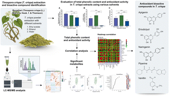 Graphical abstract: LC-MS-based metabolomic characterization of Tinospora crispa extracts: impact of solvent selection on phytochemical composition and antioxidant properties