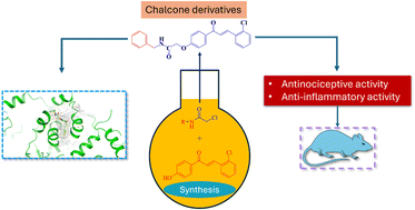 Graphical abstract: Design, synthesis, and biological evaluation of novel chalcone derivatives: integrating molecular docking with in vivo anti-inflammatory and antinociceptive studies