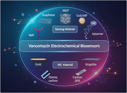 Graphical abstract: Electrochemical biosensors for vancomycin monitoring in blood: advances, strategies, and future perspectives
