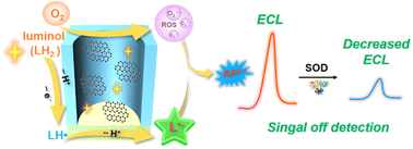 Graphical abstract: Sensitive superoxide dismutase detection via luminol–oxygen electrochemiluminescence enhanced by zero-dimensional carbon catalysts in mesoporous nanochannels