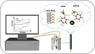 Graphical abstract: Molybdenum disulfide-grafted carbon nanotubes for the electrochemical detection of acetaminophen with ultra-sensitivity