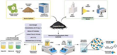 Graphical abstract: Development of novel biochar derived from Bacopa monnieri leaves for adsorptive removal of pendimethalin herbicide from binary and ternary pesticide mixture