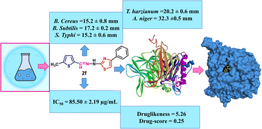 Graphical abstract: Novel thiophene–thiazole-Schiff base hybrids: design, synthesis, antimicrobial and antioxidant activity with ADMET prediction, molecular docking and dynamics study