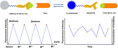Graphical abstract: A review of metal ion complexation/decomplexation reaction-based fluorescent sensors for detecting biological thiols