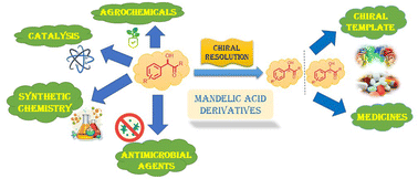 Graphical abstract: Unlocking the potential of mandelic acid derivatives: chemical and biological applications – a comprehensive review