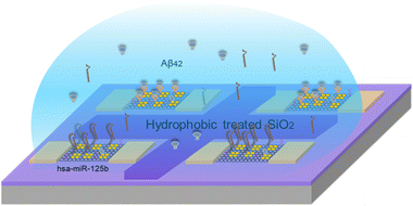 Graphical abstract: Graphene field-effect transistor based multiplexed sensing platform for simultaneous detection of multiple Alzheimer's disease biomarkers