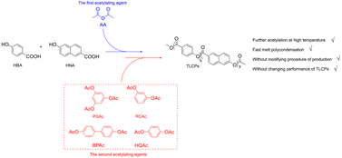 Graphical abstract: Accelerating the “one-pot” melt polycondensation for thermotropic liquid crystalline polymers by introducing a second acetylating agent