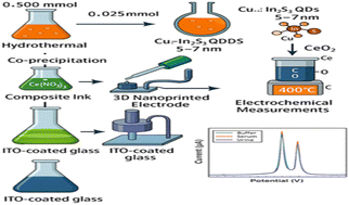 Graphical abstract: Cu-doped In2S3 quantum dot-CeO2 nanorod hybrid electrodes via 3D nanoprinting-inspired structuring for ultrasensitive heavy metal detection