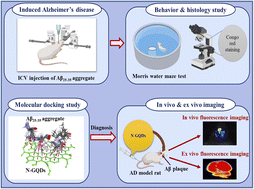 Graphical abstract: High-affinity nitrogen-doped graphene quantum dots for selective in vivo and ex vivo detection of amyloid-β plaques in an Alzheimer's disease rat model
