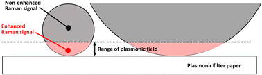 Graphical abstract: Plasmonic filter paper for microplastic detection: SERS enhancement, size dependence, and quantitative limitations