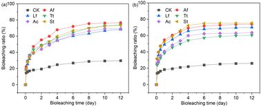 Graphical abstract: Bioleaching of sludge from acid-leached waste traction batteries used in electric vehicles for the extraction of Ni and Co using optimized microbial consortia