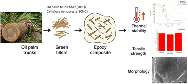 Graphical abstract: Influence of green fillers from oil palm trunk (Elaeis guineensis) on the thermal stability, tensile performance and morphological properties of reinforced epoxy composites