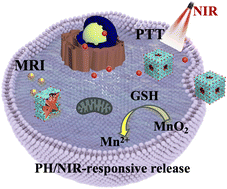 Graphical abstract: Biodegradable Prussian blue/manganese dioxide core–shell nanoparticles with open cages for imaging-guided chemo-photothermal combined therapy of cancer cells