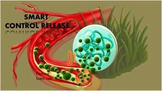 Graphical abstract: Smart controlled-release delivery of Pennisetum purpureum embedded supramolecular nanoparticles to reduce atherosclerotic plaque