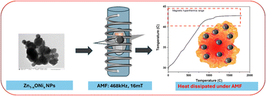Graphical abstract: Green synthesis and magnetothermal performance of Zn1−XONiX nanocomposites for magnetic hyperthermia applications
