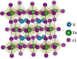 Graphical abstract: A study of stable half-metallic variant perovskites X2TaCl6 (X = K, Cs) for possible spintronic applications