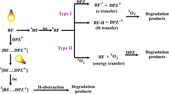 Graphical abstract: Riboflavin-sensitized photoinduced degradation of donepezil hydrochloride: kinetic and computational insights for pharmaceutical formulation