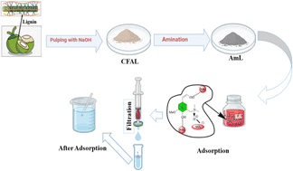 Graphical abstract: Bio-adsorbent for wastewater treatment: amination of green coconut husk waste-derived lignin for the removal of Congo red dye